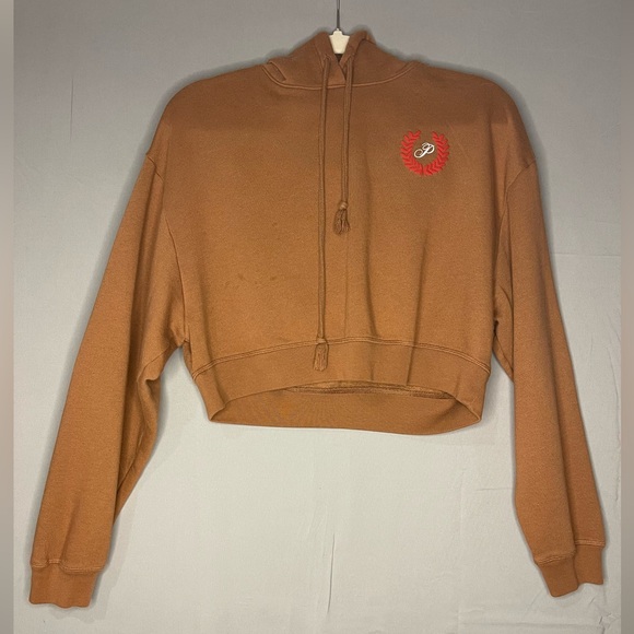 PINK Victoria's Secret Brown Cropped Hoodie - Picture 1 of 5